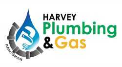 Commercial Plumbing and Toilets