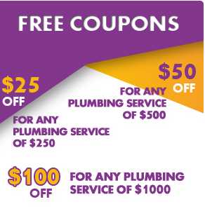 Local Plumbing Repair Houston