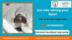 Rodent Control in Kochi