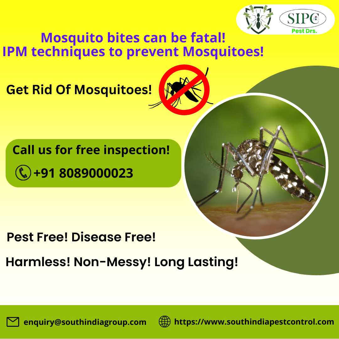 Mosquito Control Services in Bangalore