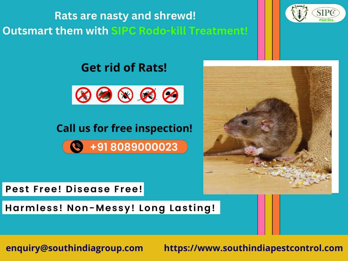 Best Rodent Control in Bangalore
