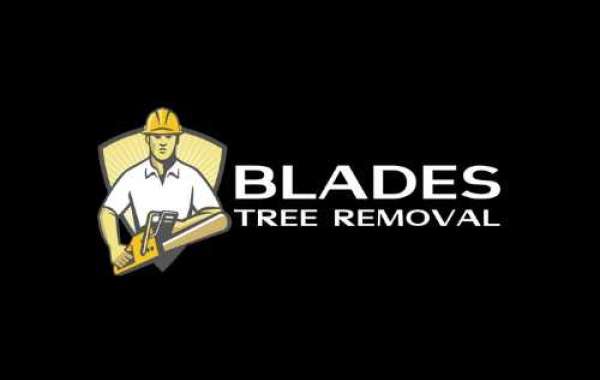 Worried About The Dead Trees? Call The Professionals