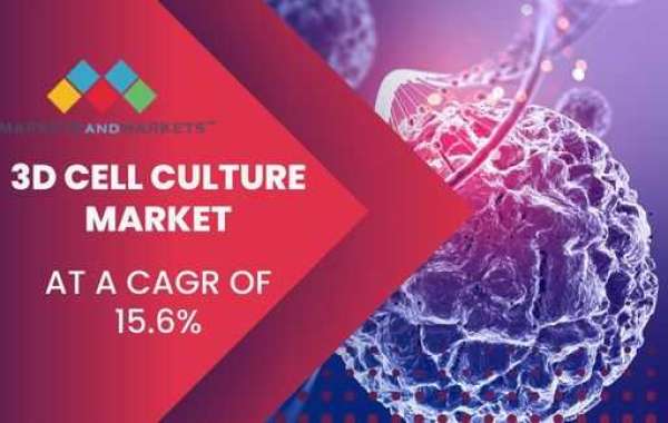 3D Cell Culture Market 2022: Global Share, Trends, Application Analysis and Forecast To 2027