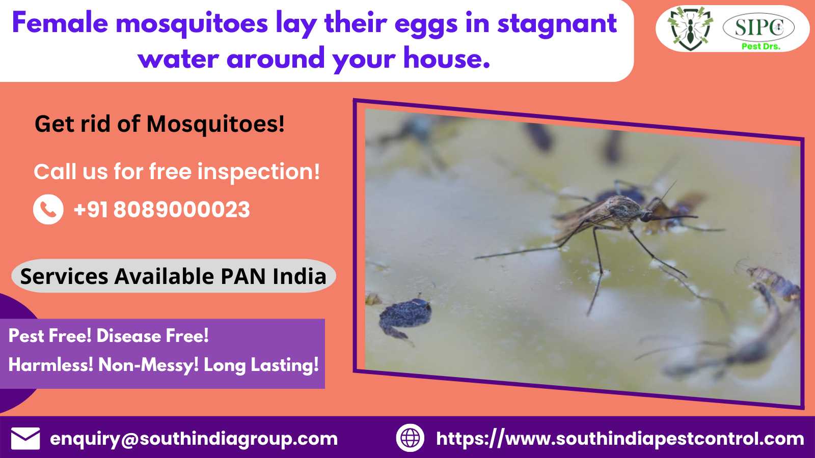 South India Pest Control