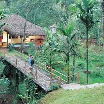 Best Kerala Tour Packages With Trinetra Tours Profile Picture