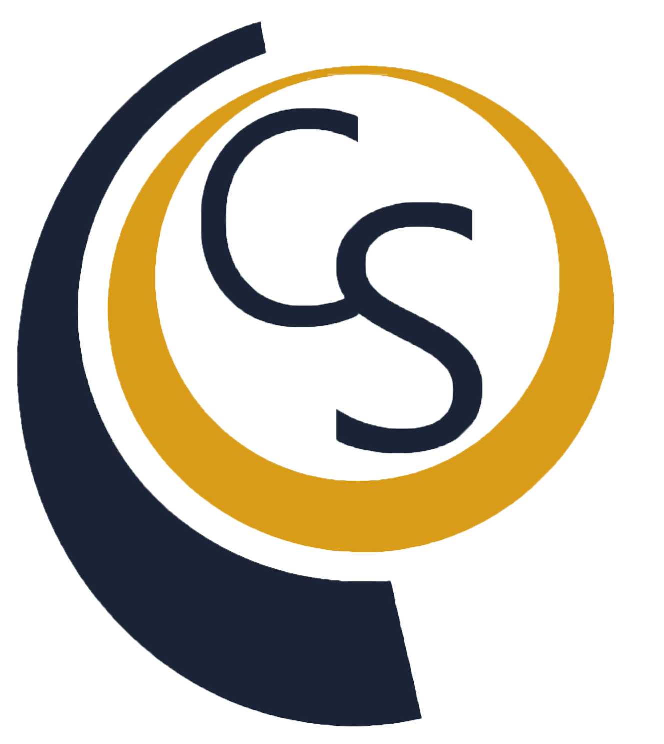 CyberSigma Consulting Services