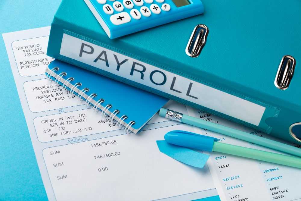 Payroll Service Provider