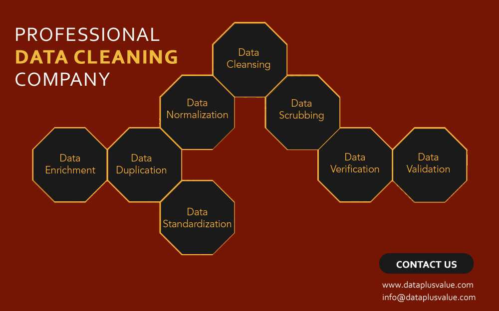 Professional Data Cleaning Company in India