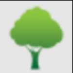 Professional Tree Services in Somerville, MA