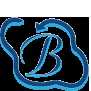web development service