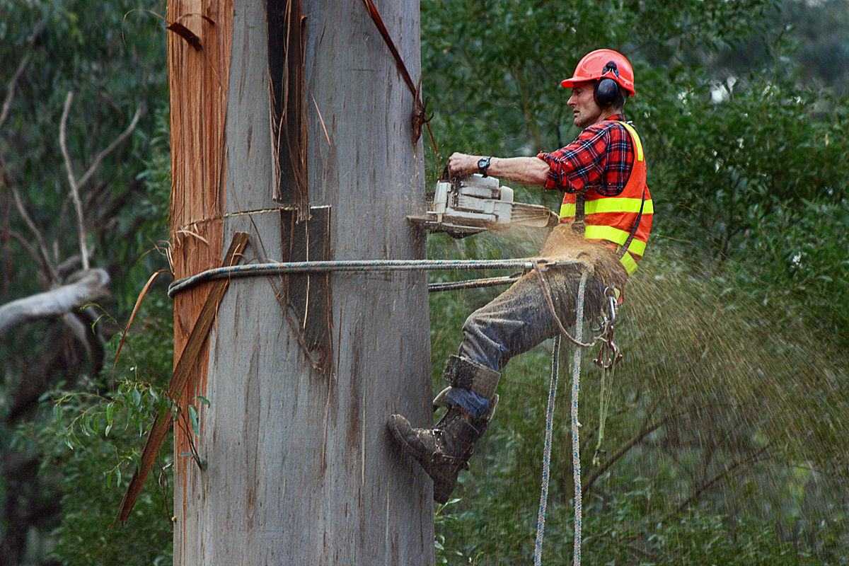 Stump Removal Melbourne