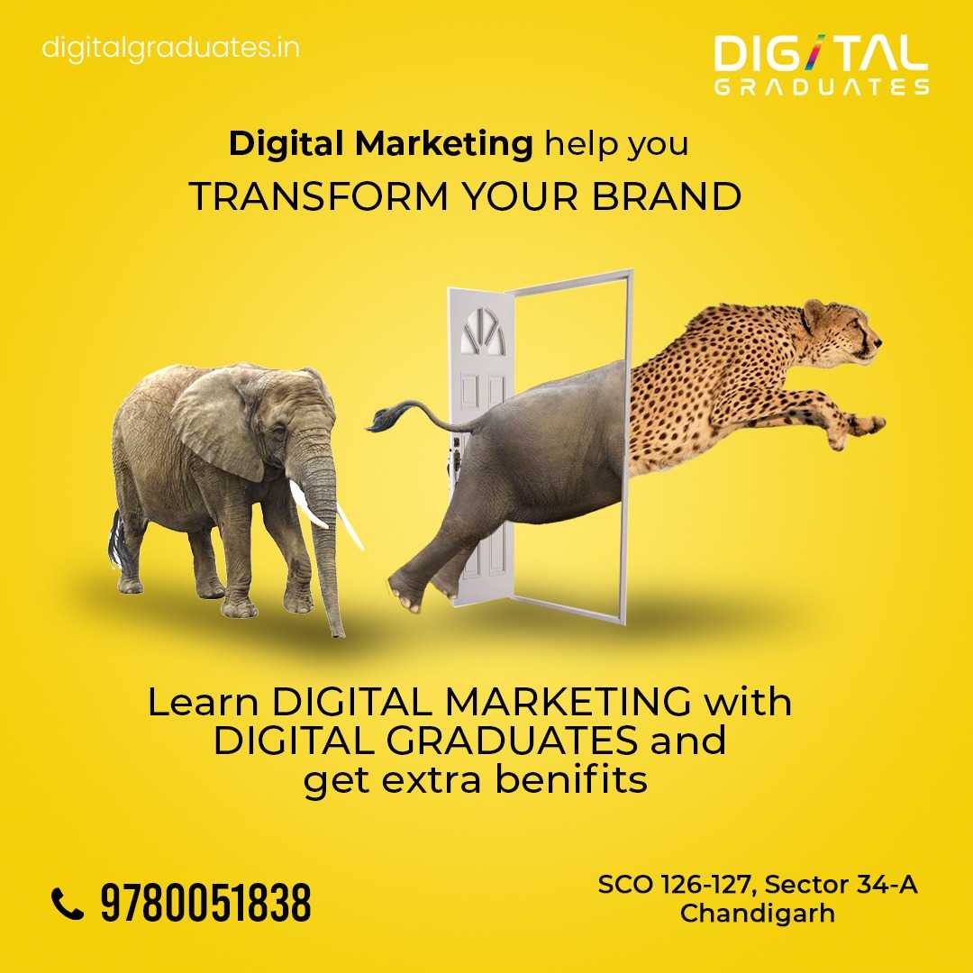 Digital Graduates