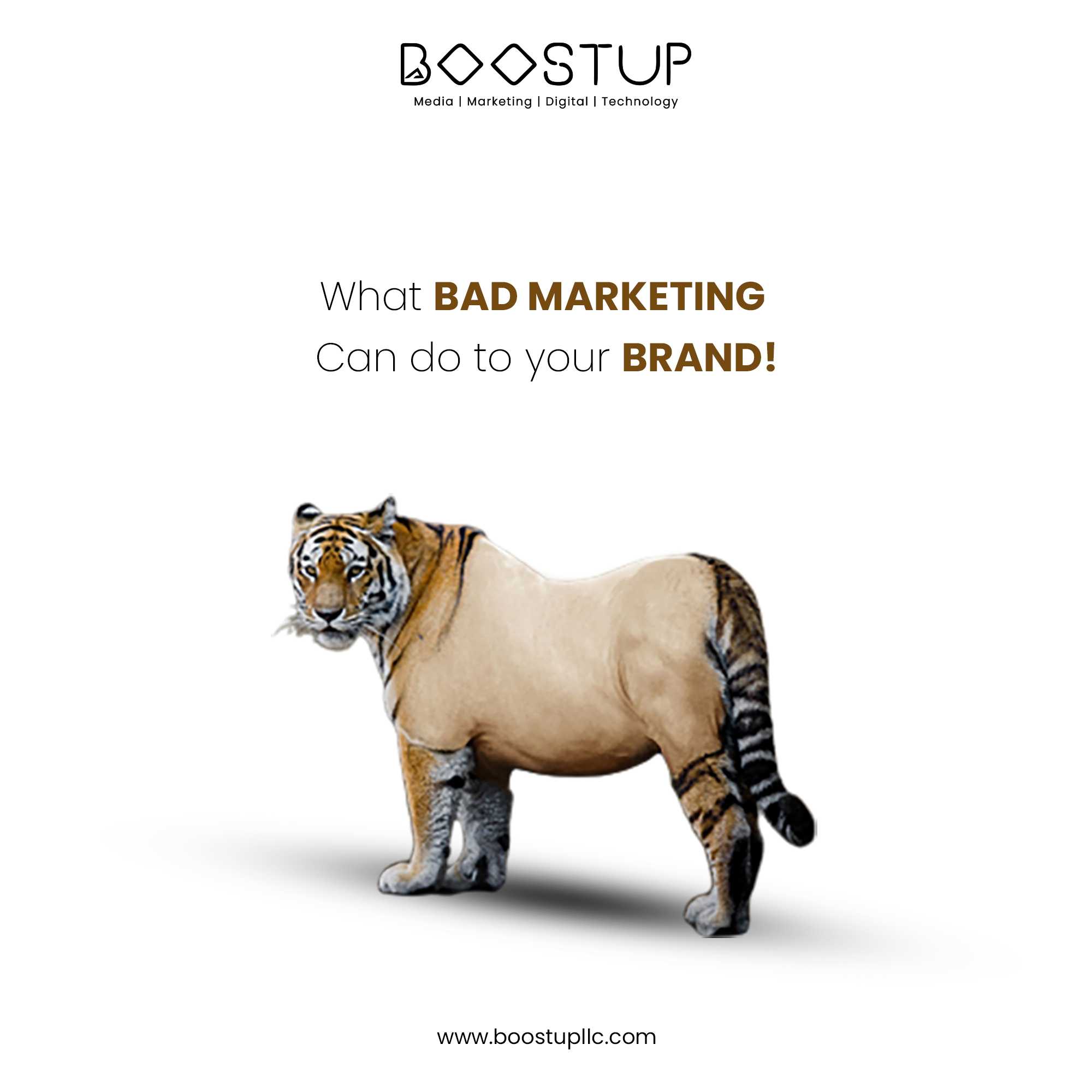 Best Digital Marketing Company In Uae