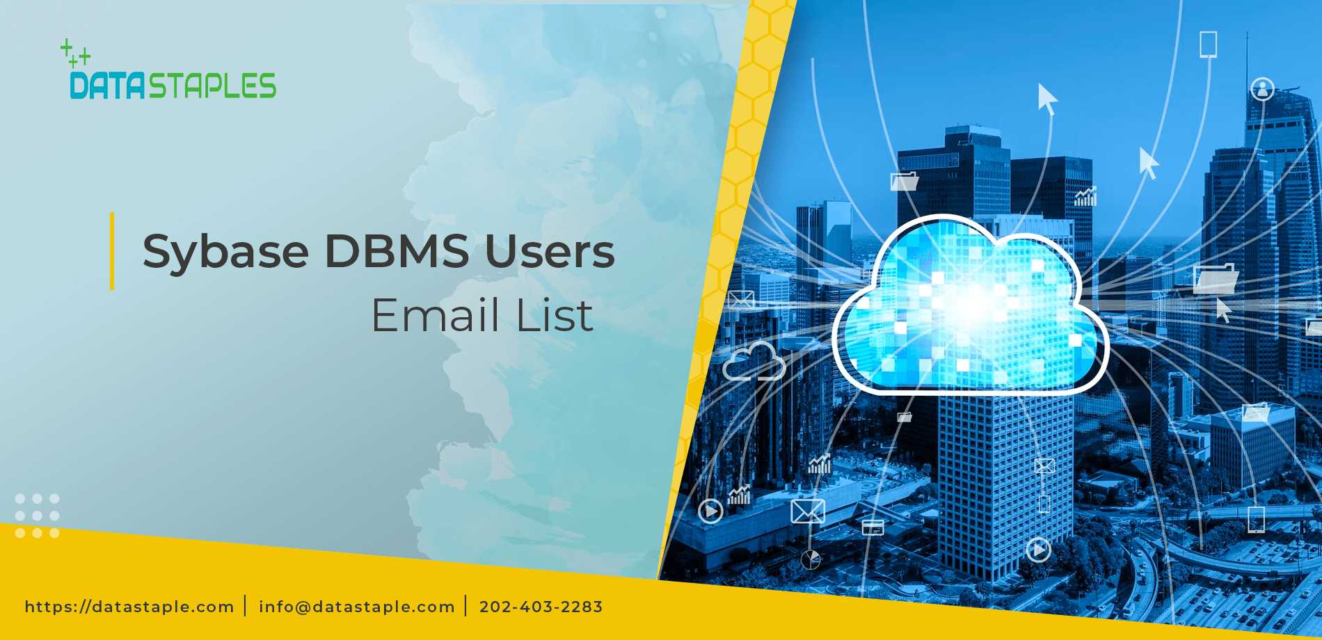 Sybase DBMS Users Email List