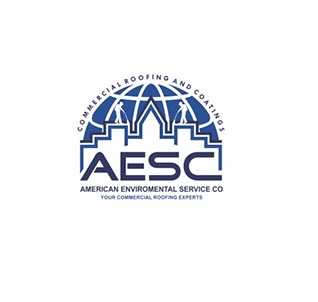 American Environmental Services