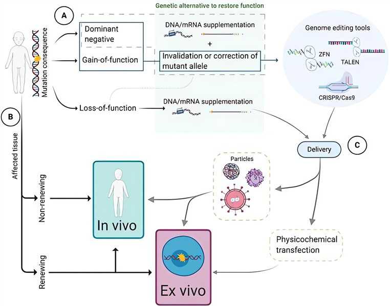 Development of Gene Therapies for Rare Diseases