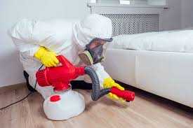 Mosquito Control &amp; Prevention Services: What You Need to Know