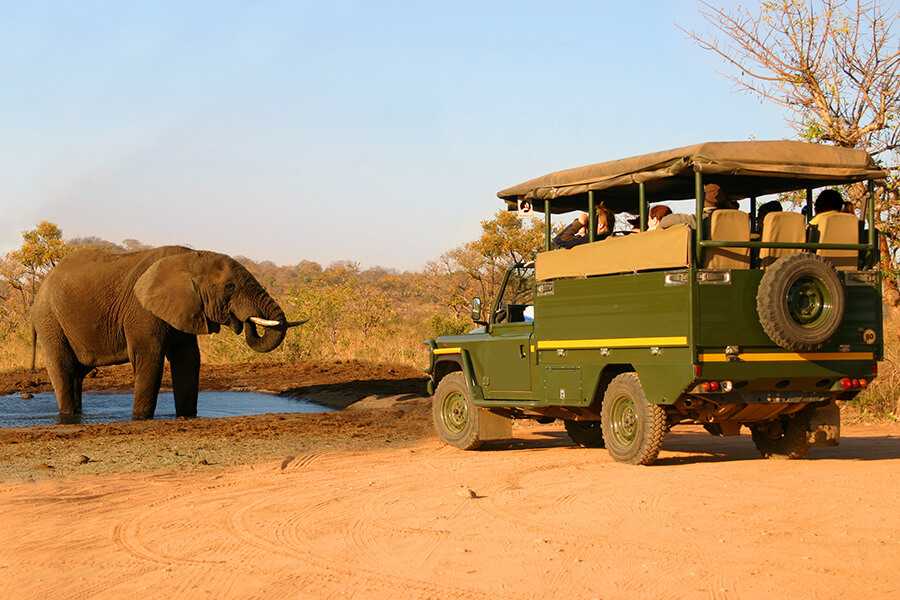Indus Travels Review: Tailored Journeys Redefined