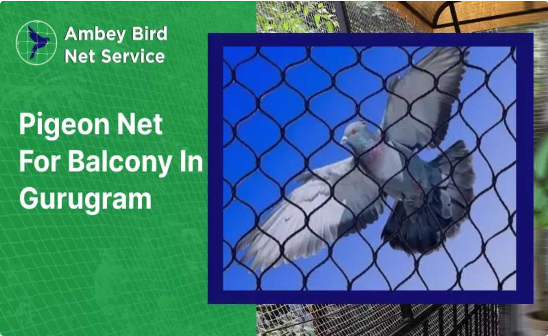 pigeon protection net in Gurugram