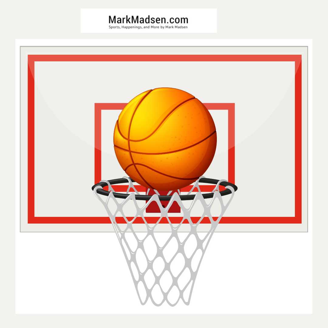 Hoops Haven: Elevate Skills at our Boys Basketball Team Camp!