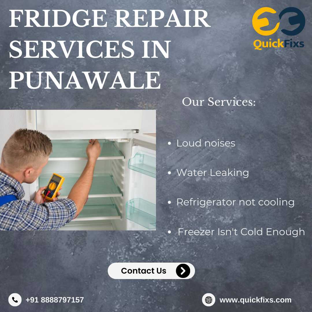 Fridge Repair Services in Punawale