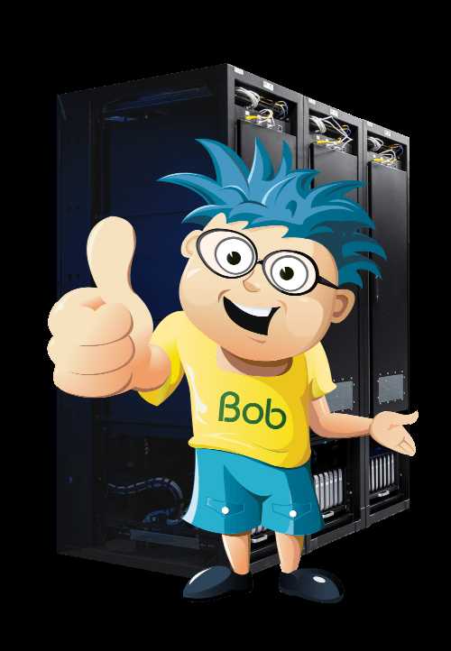 Bobcares server management and monitoring services