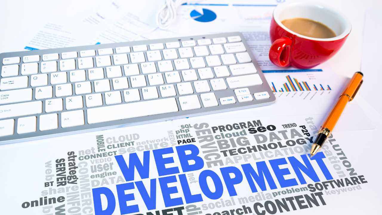 Dedicated WordPress Developer
