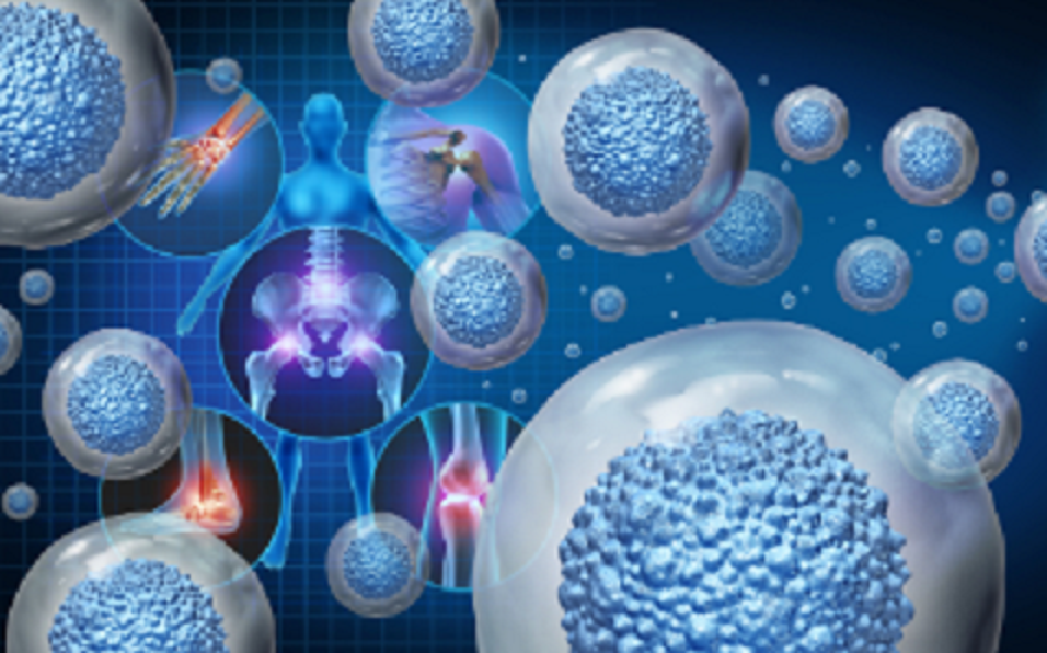 Stem Cell Cure India