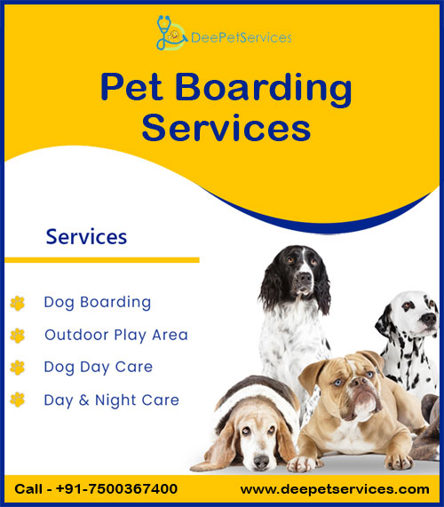 Premium Pet Boarding Services for Every Pet