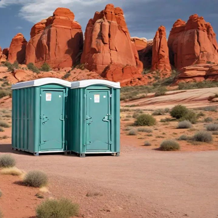 The Ultimate Guide to Portable Restroom Rentals for Events and Projects