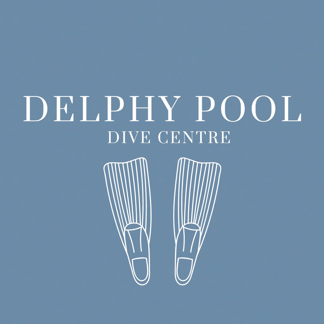Cornwall Spearfishing Delights