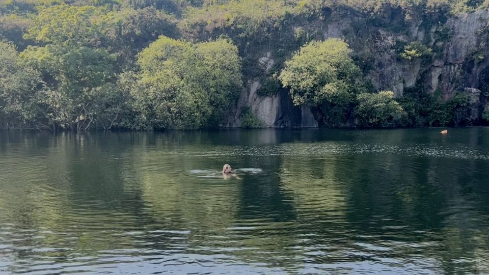 FreedivingCourse