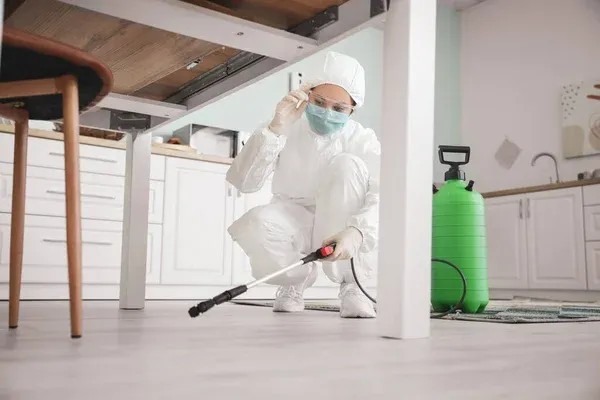Pest Control Solutions Fort Saskatchewan