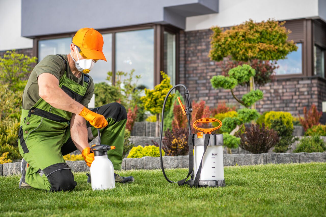 Pest Control Villeneuve