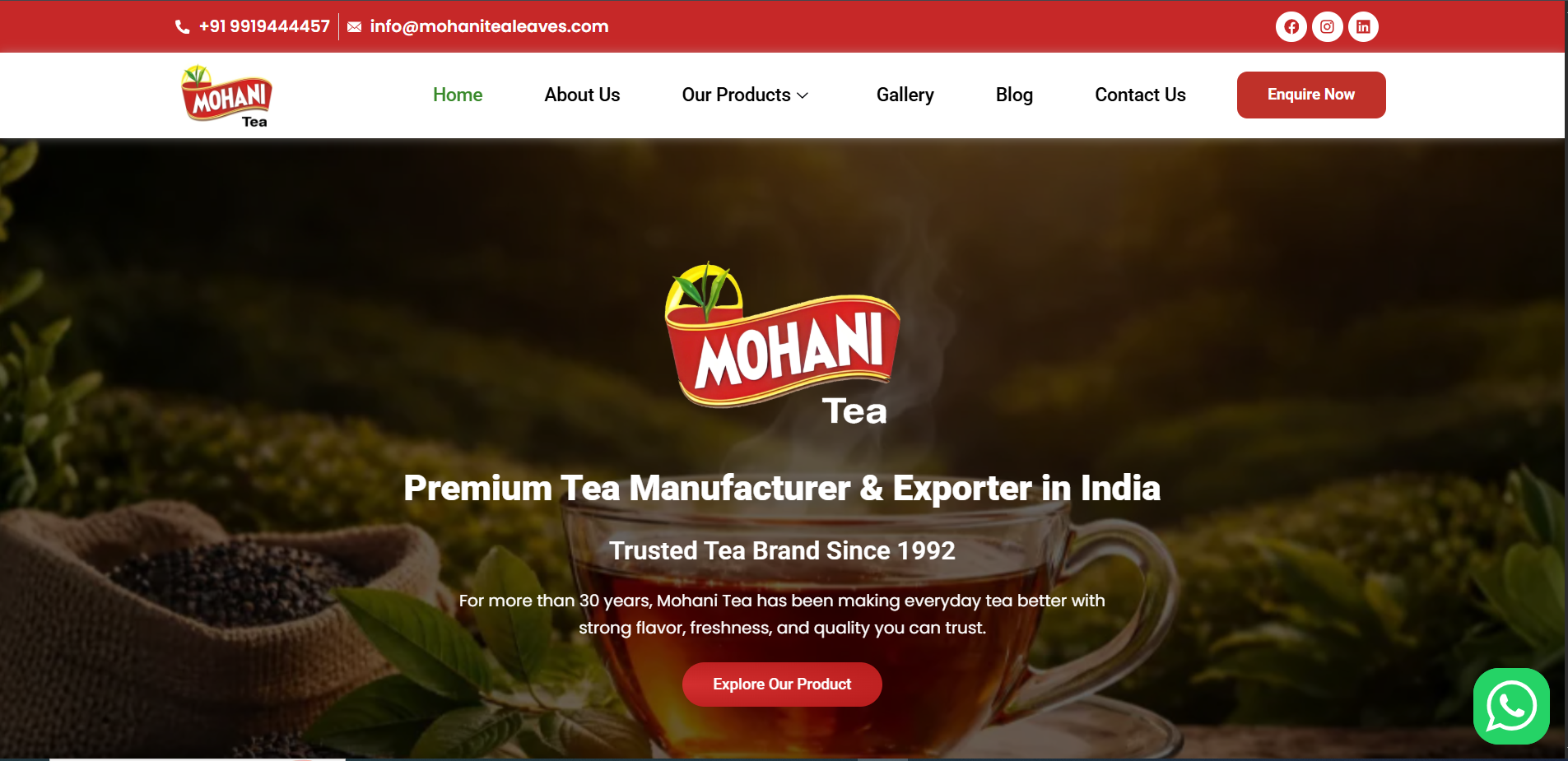 Professional Website Development Services in Kanpur