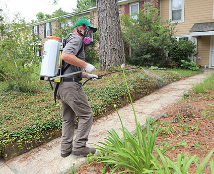 7 Benefits of Choosing Eco Friendly Pest Control Services for Long Term Protection