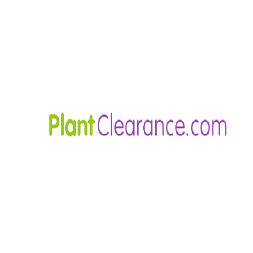 Cherry Laurel Tree Options for a Fuller, Greener Landscape Design